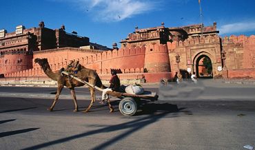 Taxi service in udaipur